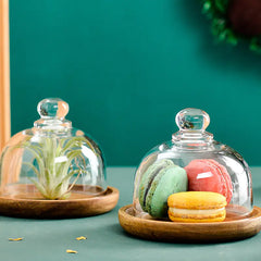 Sweet Mini Cloche