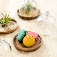Sweet Mini Cloche