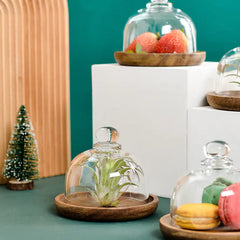 Sweet Mini Cloche